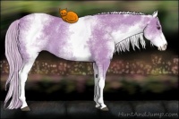 Horse Color:Watercolor White Spotted Palomino Rabicano 