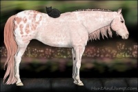 Horse Color:Watercolor Chestnut Ice Appaloosa 