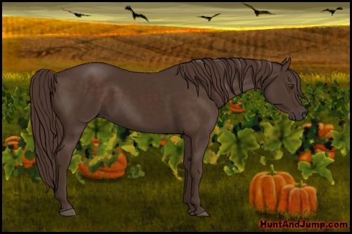 Horse Color: Liver Chestnut 