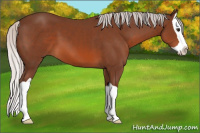 Horse Color:Silver Brown Splash 