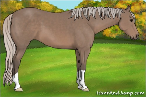 Horse Color: Silver Black 