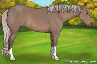 Horse Color:Silver Black 