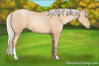 Horse Color:Silver Smoky Black Pearl 
