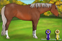 Horse Color:Silver Brown