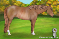 Horse Color:Chestnut Rabicano 