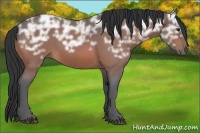 Horse Color:Bay Ice Roan 