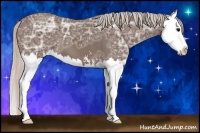 Horse Color:Silver Black Ice Sabino Splash 