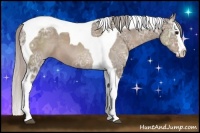 Horse Color:Silver Grullo Ice Sabino Splash Tobiano 
