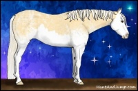 Horse Color:White Spotted Palomino Ice Sabino Splash 
