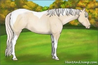 Horse Color:Silver Smoky Grullo Pearl Sabino Tobiano