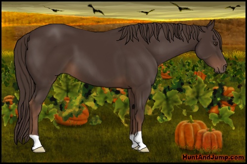 Horse Color: Liver Chestnut 