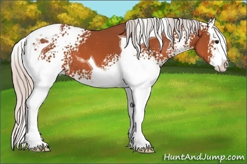 Horse Color: White Spotted Silver Bay Splash Tobiano 