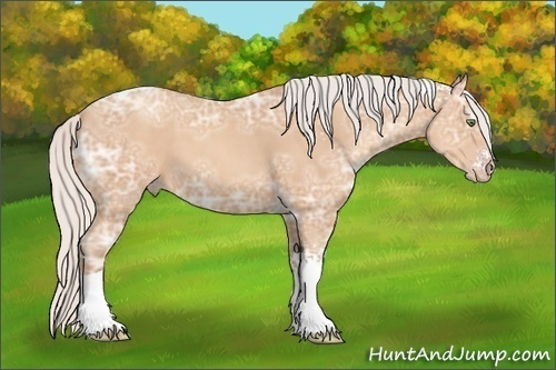 Horse Color: White Spotted Silver Classic Champagne Ice Tobiano 