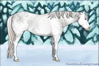 Horse Color:White Spotted Silver Black Sabino Splash 
