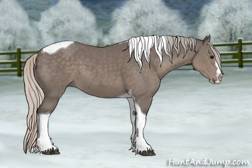 Horse Color: Silver Black Sabino Splash Tobiano 