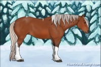 Horse Color:Silver Bay Sabino Tobiano 