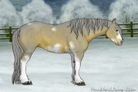 Horse Color:Watercolor Chestnut Sabino Splash Tobiano Frame 