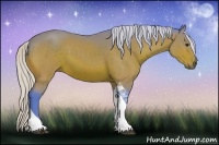 Horse Color:Watercolor Silver Brown Sabino Tobiano 