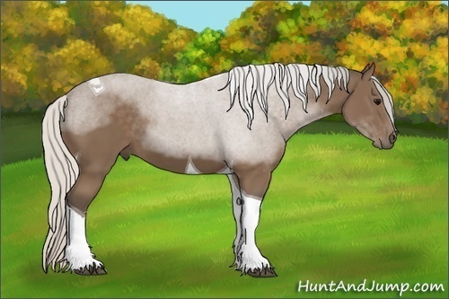 Horse Color: Silver Black Sabino Tobiano 