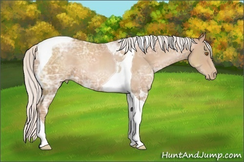 Horse Color: Silver Black Ice Pearl Sabino Tobiano 