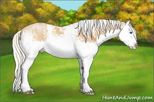 Horse Color: White Spotted Silver Bay Pearl Sabino Splash 