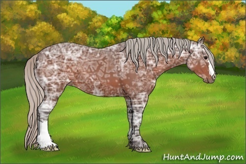 Horse Color: Silver Bay Ice 