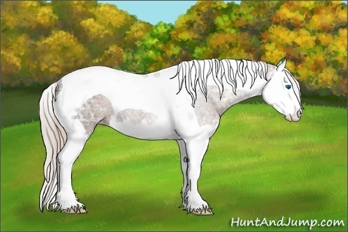 Horse Color: Silver Black Ice Sabino Splash Tobiano 
