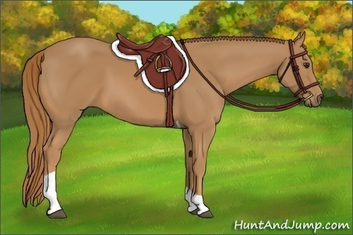 Horse Color: Chestnut Tobiano 