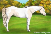 Horse Color:Perlino Tobiano 