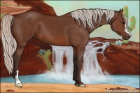 Horse Color:Silver Brown 