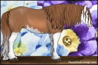 Horse Color:Chestnut Splash 