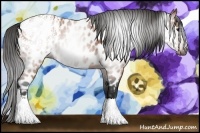 Horse Color:Gray Bay Roan Near Leopard 