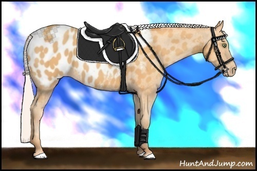 Horse Color: Silver Sable Cream Champagne Near Leopard 