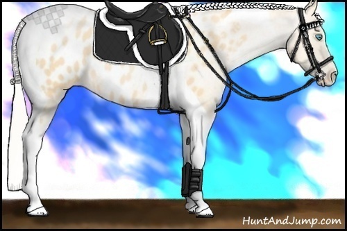 Horse Color: Silver Buckskin Pearl Tobiano Near Leopard 