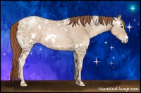 Horse Color:White Spotted Smoky Black Ice Pearl 