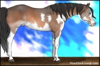 Horse Color:Brown Splash 