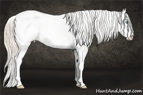 Horse Color: Perlino Dun Splash Blanket 