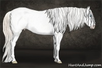 Horse Color:Perlino Dun Splash Blanket 