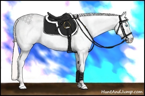 Horse Color: Perlino Near Leopard 