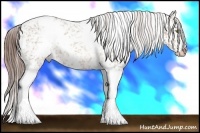 Horse Color:White Spotted Sable Champagne Appaloosa