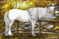 Horse Color:Silver Brown Dun Snowcap 