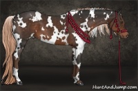 Horse Color:White Spotted Liver Chestnut 