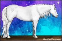 Horse Color:Cremello Sabino Blanket Rabicano 