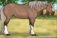 Horse Color:Silver Brown Dun 