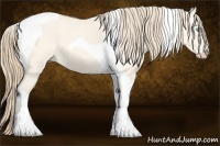 Horse Color:Perlino Dun Tobiano 