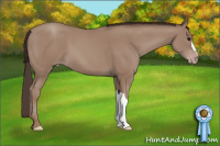 Horse Color:Classic Champagne 