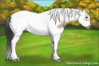 Horse Color:Brown Dun Splash Tobiano Frame 