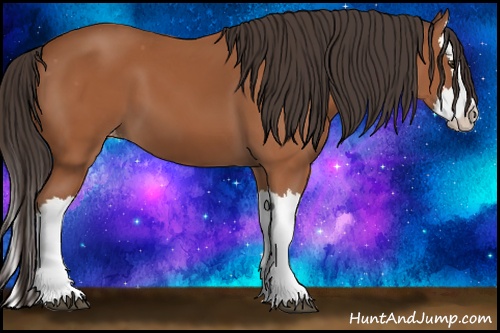 Horse Color: Bay Splash Varnish 
