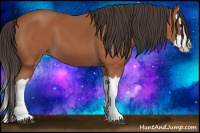 Horse Color:Bay Splash Varnish 