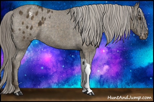 Horse Color: Chocolate Palomino Blanket 